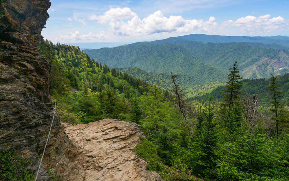 Best Time to Visit Great Smoky Mountains: Your Ultimate Travel Guide