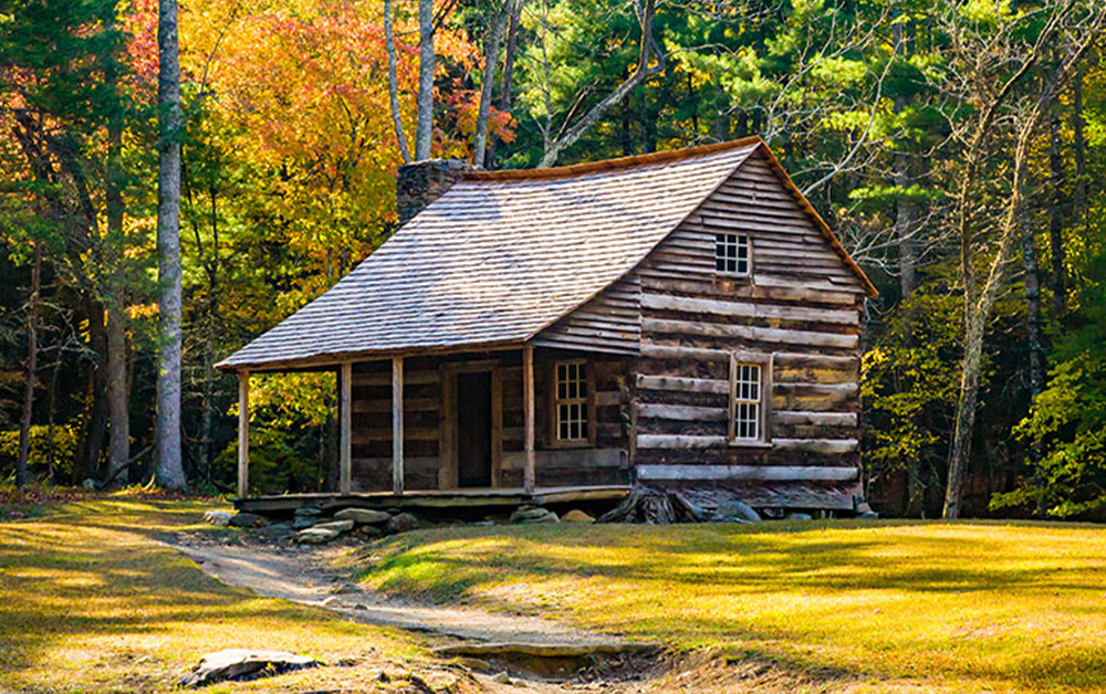 A scenic view of an 11-mile loop road through Cades Cove in the Great Smoky Mountains, a prime spot for viewing black bears and white-tailed deer.