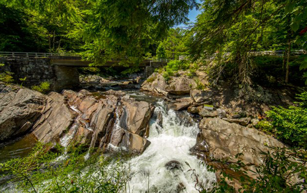 A vibrant evening view of Lower Broadway in Nashville, Tennessee, featuring iconic neon signs for honky-tonks like Tootsie's Orchid Lounge and Robert's Western World.